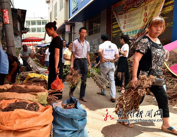 市民在选购端午药草。6月18日是端午节，蓝山县家家户户出门赶药草集市。（杨雄春  摄）_副本.jpg