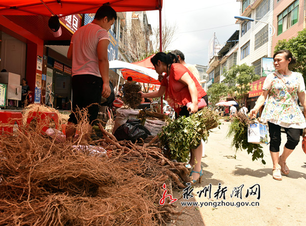 市民在选购药草。端午期间，蓝山药草市场火爆。（杨雄春 摄）_副本.jpg