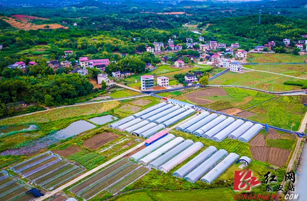 东安：农旅融合解码乡村振兴