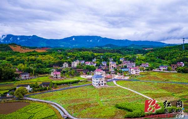 东安：农旅融合解码乡村振兴