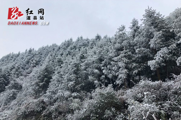 道县：惊现雾凇奇观 玉树琼枝晶莹剔透