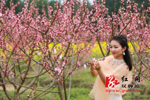 双牌：万亩油菜花海点燃“国际慢城”旅游热