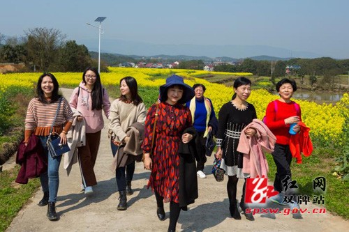 双牌：万亩油菜花海点燃“国际慢城”旅游热