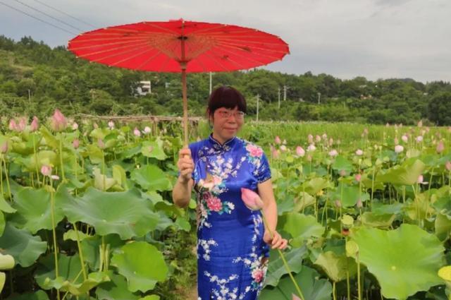 祁阳有一个元家庙村的地方，夏日荷花别样红