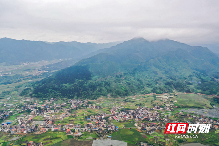 çº¢ç½æ¶å»æ°¸å·4æ9æ¥è®¯ï¼éè®¯å å½­åï¼4æ8æ¥ï¼æ°¸å·å¸èå±±å¿å¡å³°éå¯é³æï¼éå±±è±éï¼ç»¿æ°´ç¯ç»ï¼è¯ç°çºµæ¨ªï¼çæºçç¶ï¼åç°åºä¸å¹ç¾ä¸½çæ¥æ¥ä¹¡æå¾ã