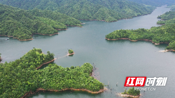 çº¢ç½æ¶å»7æ5æ¥è®¯ï¼éè®¯å æ¢å© æè³è¾ï¼7æ3æ¥ï¼æ¹åçæ°¸å·å¸èå±±å¿æ¹æ±æºå½å®¶æ£®æå¬å­ï¼ä¸ç¾¤æå½±ç±å¥½èåæ¥æå½±éé£ã