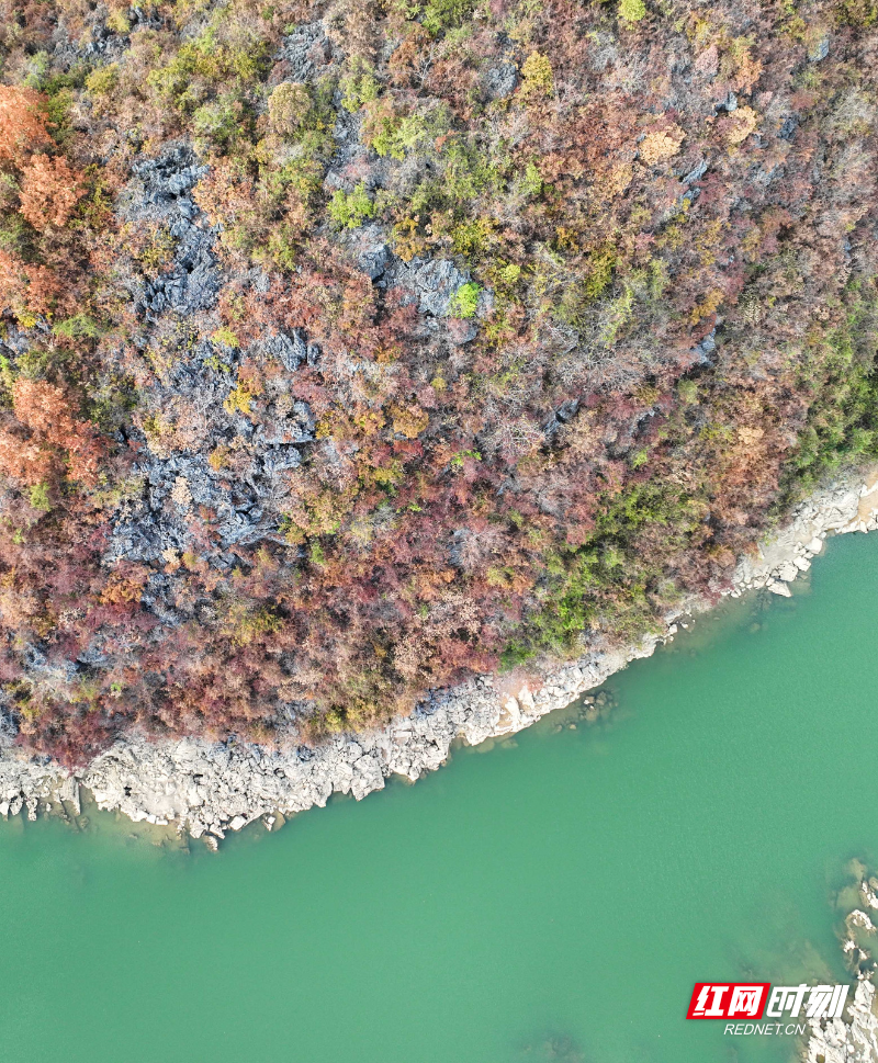 DJI_0270副本.jpg