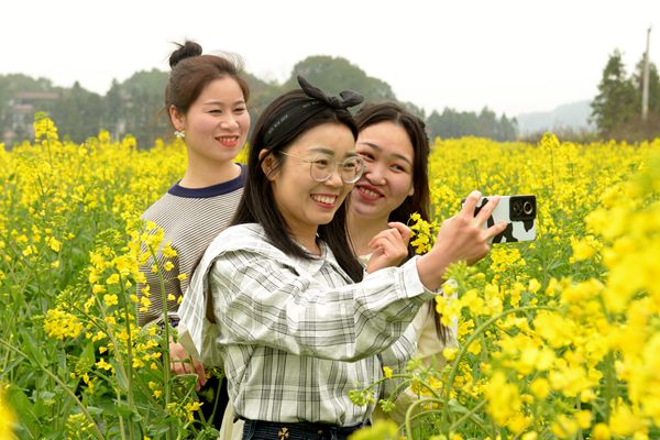 油菜花邮箱里的照片 01_副本.jpg