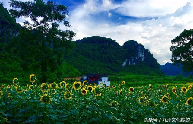 烟雨平生：永州江永之醉美人间勾蓝瑶