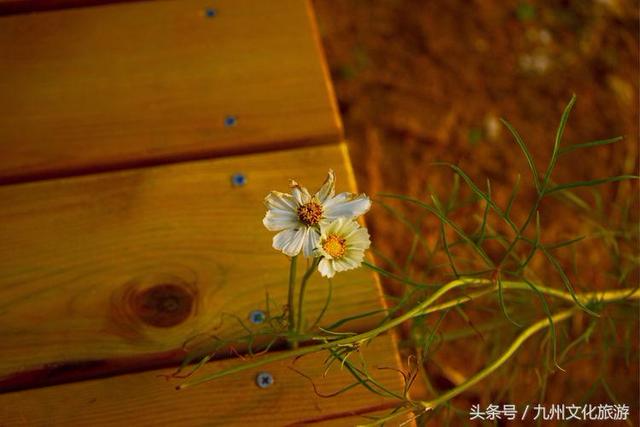 烟雨平生：永州江永之醉美人间勾蓝瑶