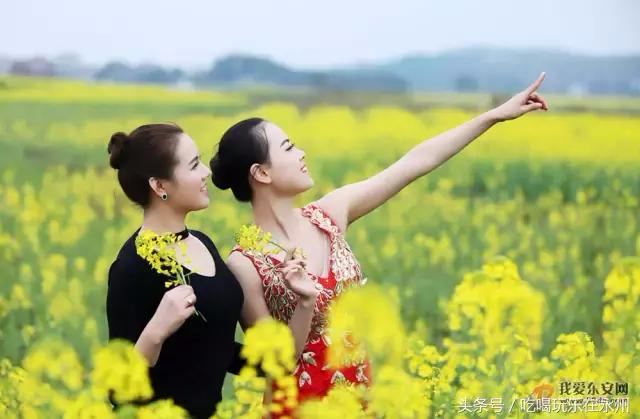 当美女遇上鹿马桥的油菜花，两道靓丽的风景线，谁更美呢？